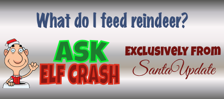 What to Feed Reindeer 6