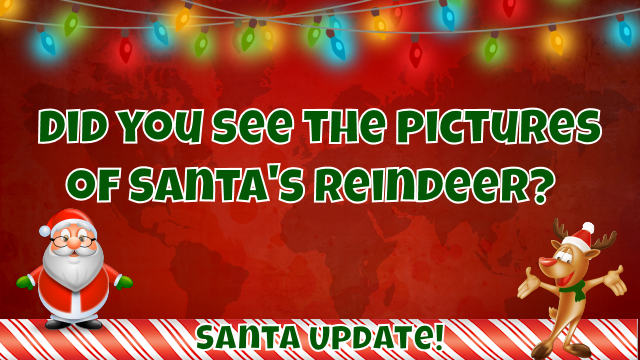 Pictures of Santa's Reindeer 9