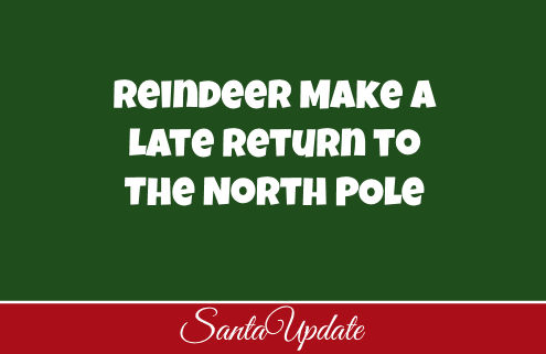 Reindeer Return