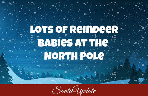 Lots of Reindeer Babies at the North Pole 4