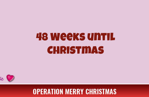 48 Weeks Until Christmas