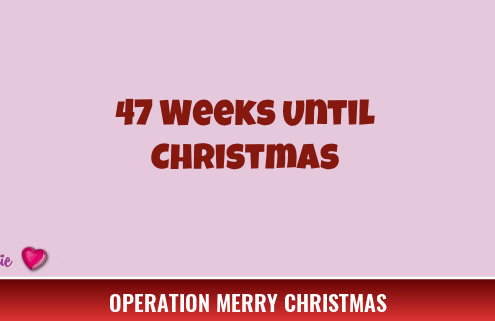 47 Weeks Until Christmas 4