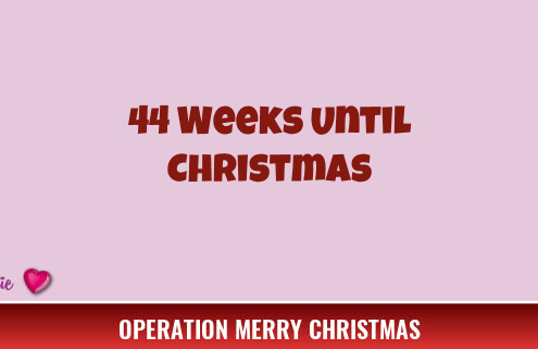 44 Weeks Until Christmas