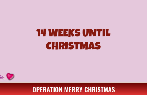 14 Weeks Until Christmas