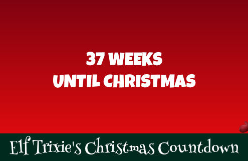 37 Weeks Until Christmas 7