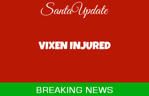Vixen Injured 7