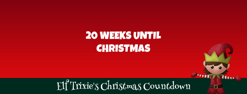 20 Weeks Until Christmas | Santa Update