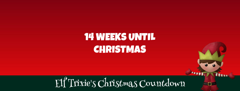 14 Weeks Until Christmas | Santa Update