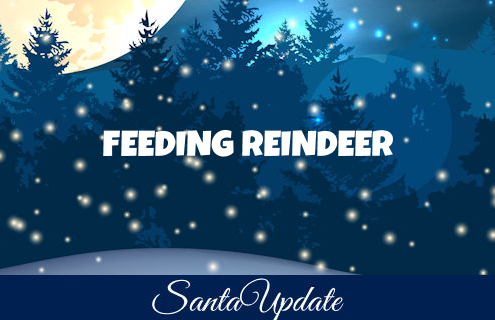 What to Feed Santa’s Reindeer 3